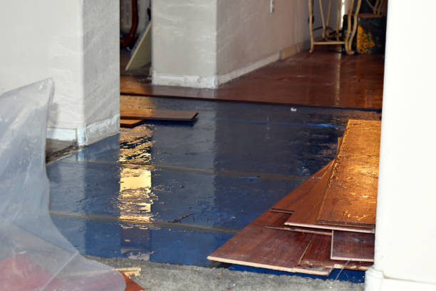 Professional Water Damage Restoration technician working in Eureka, UT